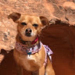 Meet your Posher, Pamela